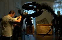 Jurassic Dönemi'ne ait 2 dinozor iskeleti Paris'te açık artırmada satılacak