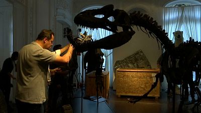 شاهد: ديناصوران للبيع في المزاد العلني في باريس 
