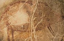 شاهد: اكتشاف أقدم رسومات كهفية عمرها 40 ألف سنة بمنطقة بورنيو في إندونيسيا