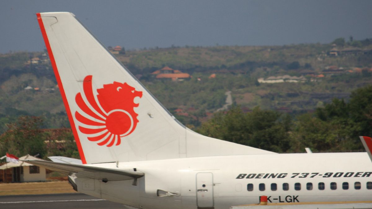 تحطم الطائرة الإندونيسية: تحديثات تقنية أخفتها بوينغ قد تكون السبب وراء الحادث