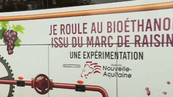 Il futuro nel vino Il futuro nel vino