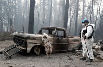 حرائق كاليفورنيا: زيارة مرتقبة لترامب والكارثة تخلف على الأقل 66 قتيلا و600 مفقود