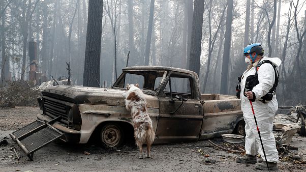 Incendie en Californie : 600 personnes toujours portées disparues Incendie en Californie : 600 personnes toujours portées disparues