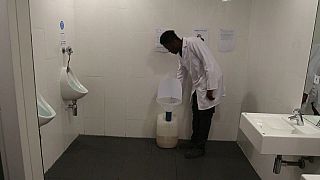 Investigadores criam tijolos a partir de urina