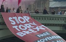 شاهد: متظاهرون ضد الـ"بريكست" أمام البرلمان البريطاني