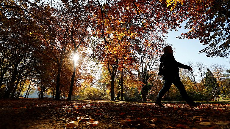Un noviembre más cálido y con más CO2 Un noviembre más cálido y con más CO2