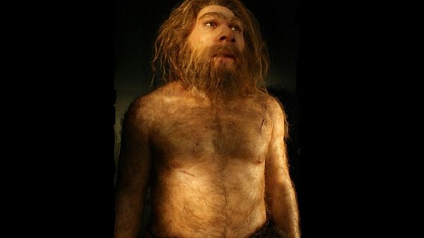 صورة ترمز لرجل نيادرتال صورة ترمز لرجل نيادرتال