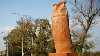 Watch: Phallic-shaped owl statue doesn't fly with Serbian town