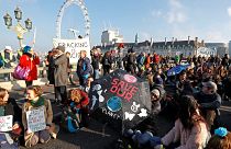 Umweltaktivisten demonstrieren auf der Londoner Westminster Bridge