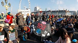 Umweltaktivisten demonstrieren auf der Londoner Westminster Bridge