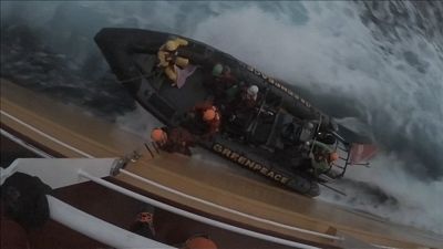 شاهد: ناشطون يقفزون على سفينة تنقل زيت النخيل احتجاجا على تدمير الغابات