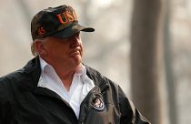 Finlandeses satirizam Trump com limpeza de florestas