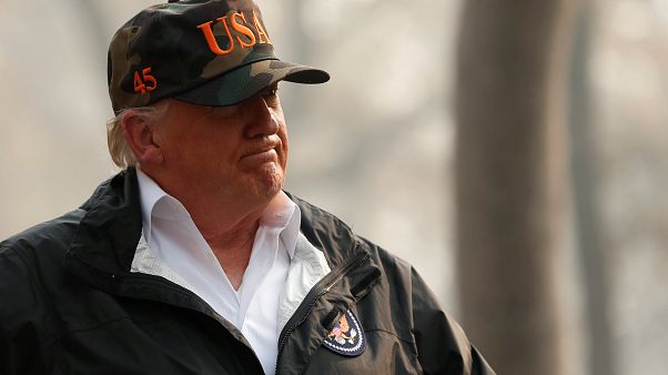 Finlandeses satirizam Trump com limpeza de florestas Finlandeses satirizam Trump com limpeza de florestas