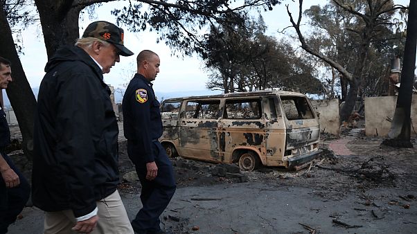 Lo sfottò finlandese a Trump sui social: il rastrello per combattere gli incendi Lo sfottò finlandese a Trump sui social: il rastrello per combattere gli incendi
