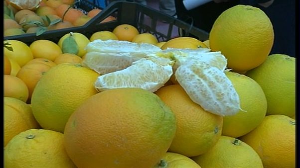 قد لا تصدق.. ورود وحمضيات ونعناع في صحراء الجزائر قد لا تصدق.. ورود وحمضيات ونعناع في صحراء الجزائر