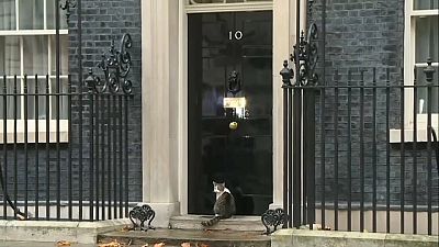 الشرطة في خدمة القط لاري أمام مقر رئاسة الوزراء البريطانية