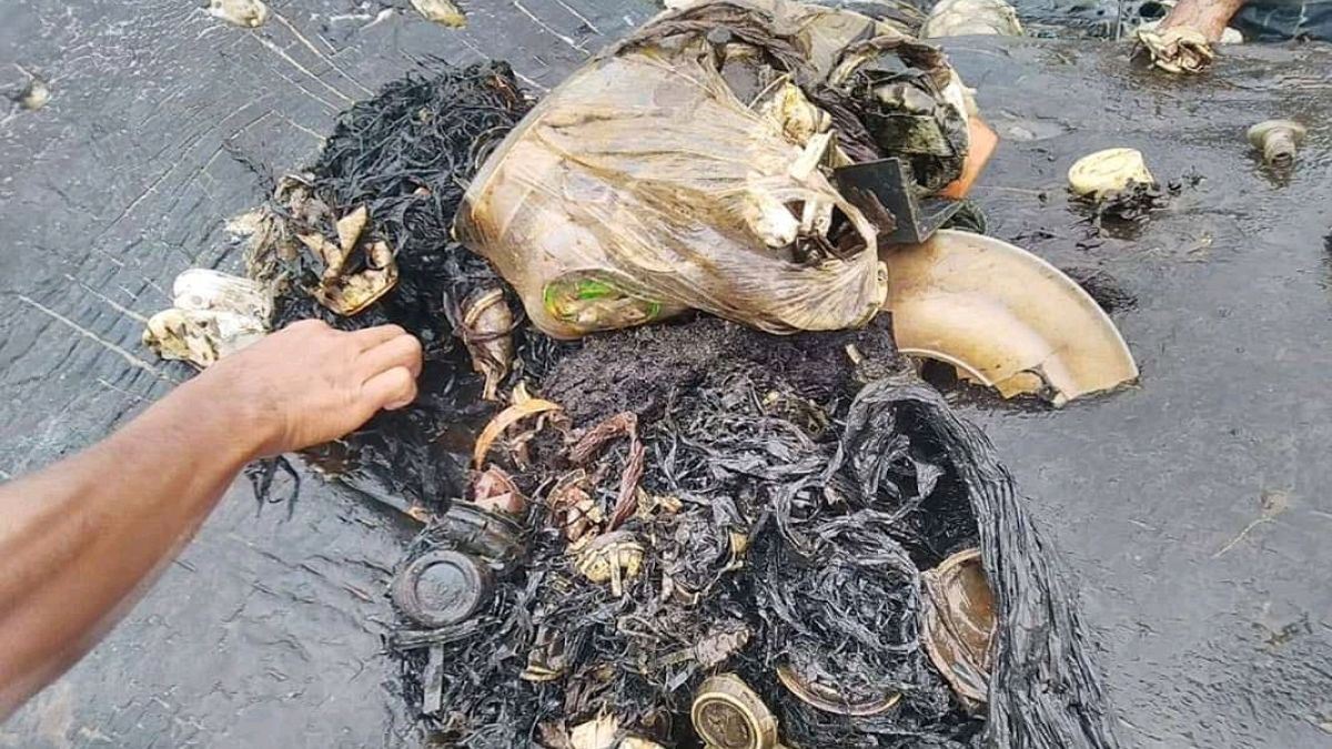 115 plastic cups, 4 bottles and 2 flip-flops found inside dead whale