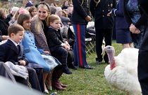 Trump und der Truthahn - die 10 besten Fotos