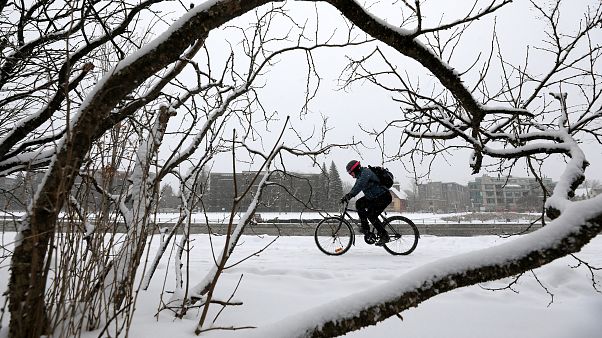 Der erste Schnee - 10 der schönsten Tweets Der erste Schnee - 10 der schönsten Tweets