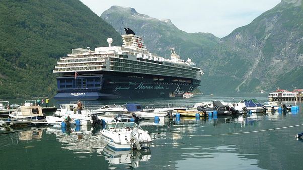 Ölü balık enerjisi: Norveç'te deniz taşımacılığı için balıktan yakıt elde edilecek Ölü balık enerjisi: Norveç'te deniz taşımacılığı için balıktan yakıt elde edilecek