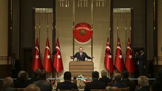 Erdoğan: Bize vatan topraklarımız yeter, Suriye'de işgal gibi bir derdimiz yok