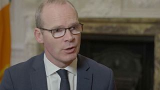 Irish foreign minister Simon Coveney talks about Brexit on Raw Politics