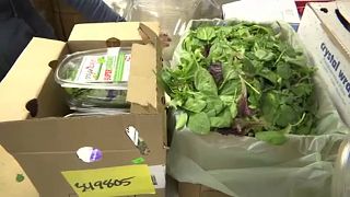 USA: kólibaktériummal fertőzött saláta a boltokban
