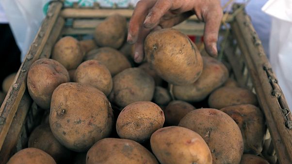 Kanada'da patates kıtlığı yaşanıyor Kanada'da patates kıtlığı yaşanıyor