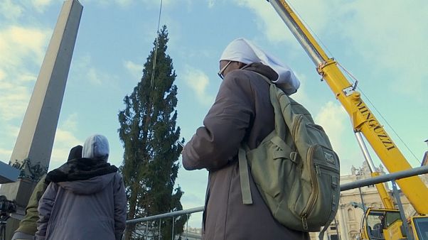 Le Vatican passe en mode Noël Le Vatican passe en mode Noël
