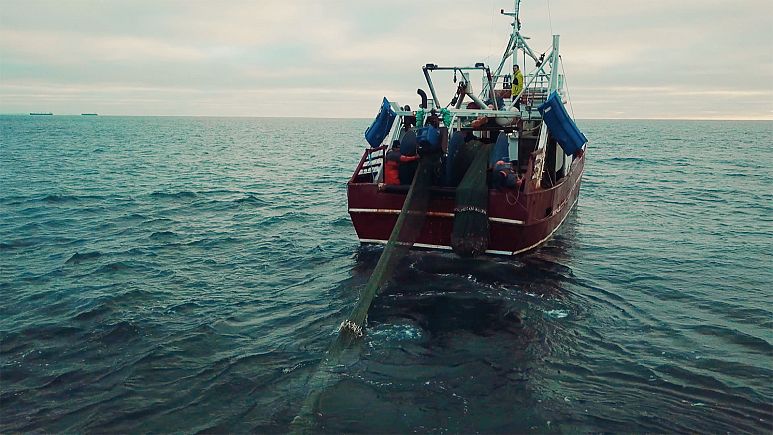 La nuova frontiera della pesca sostenibile La nuova frontiera della pesca sostenibile