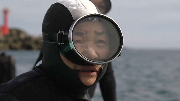 Japonya’nın balıkçı dalgıç nineleri Japonya’nın balıkçı dalgıç nineleri