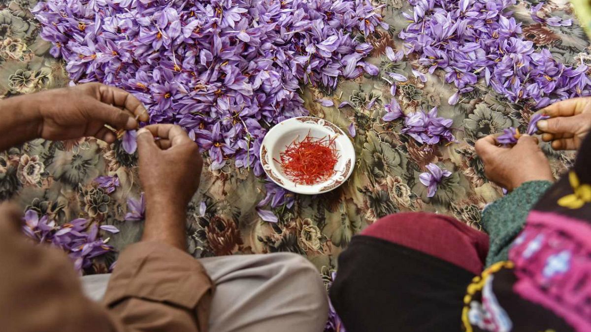 یک عضو اتاق بازرگانی: زعفران ایران با نام افغانستان صادر می‌شود