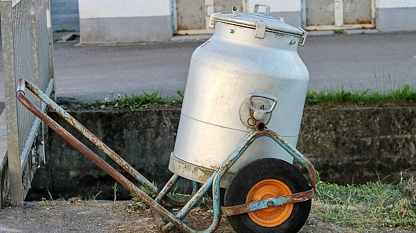 Es hagelt Kritik an Karliczek: Von Milchkannen und Ehe für alle 2018 Es hagelt Kritik an Karliczek: Von Milchkannen und Ehe für alle 2018