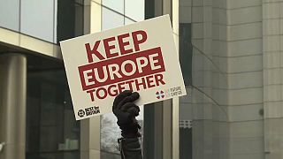 Anti-Brexit protesters gather in Brussels