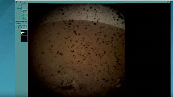 NASA: La sonda Insight è ammartata con successo NASA: La sonda Insight è ammartata con successo