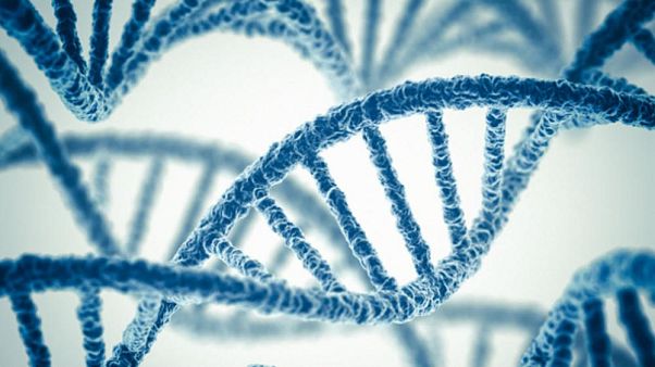 Bebeklerin genetiği ile oynanmasına tepki: Çılgınlık ve ahlaksızlık Bebeklerin genetiği ile oynanmasına tepki: Çılgınlık ve ahlaksızlık