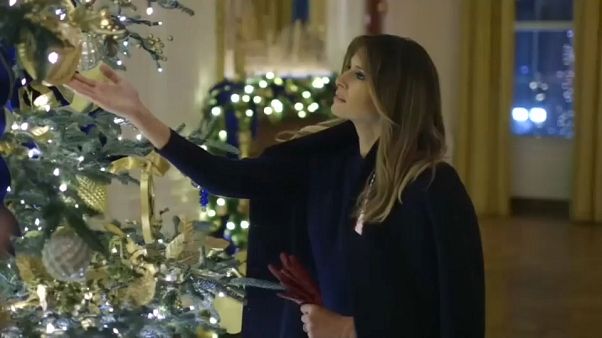 Melania, die Weihnachtsfee Melania, die Weihnachtsfee