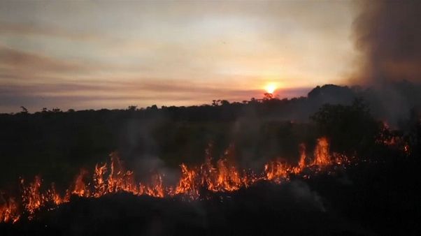 La deforestación de la Amazonia brasileña alcanza su nivel más alto en una década La deforestación de la Amazonia brasileña alcanza su nivel más alto en una década