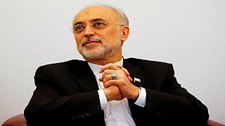 علي أكبر صالحي: الإتفاق النووي لن يخدم إيران إن لم نستطع بيع نفطنا