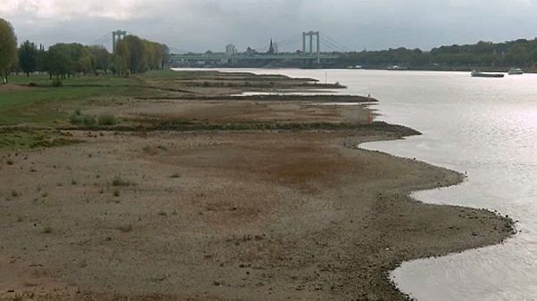 Rhein-Niedrigwasser and Waldbrände - Deutschland und der Klimawandel Rhein-Niedrigwasser and Waldbrände - Deutschland und der Klimawandel