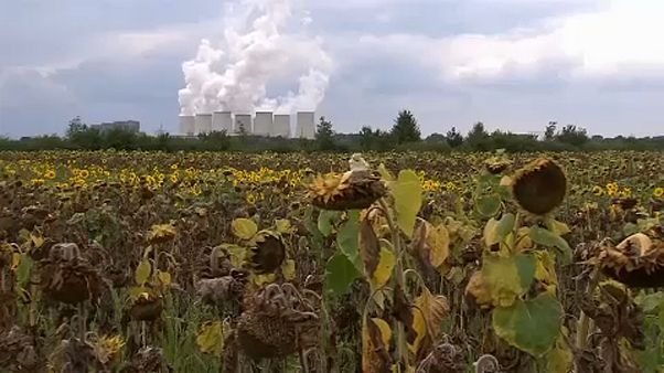 L’UE regarde le climat d’ici 2050 L’UE regarde le climat d’ici 2050