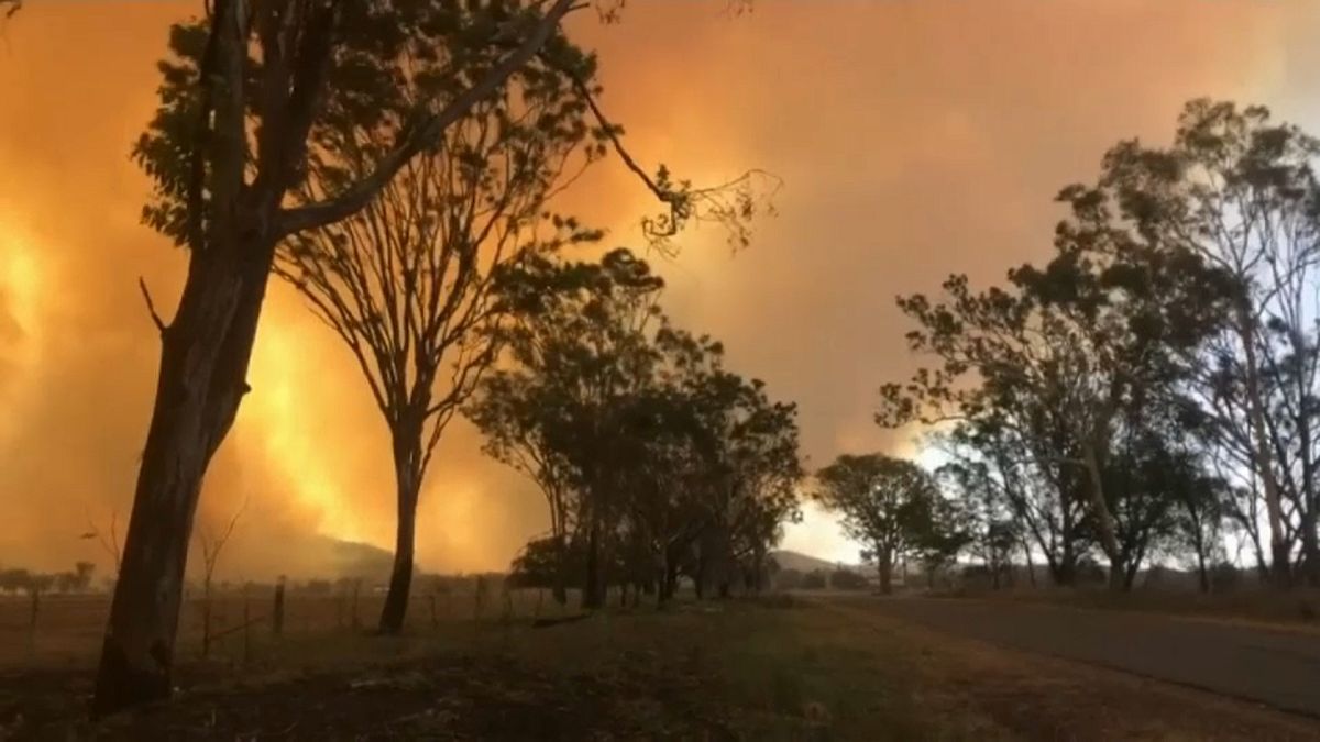 شاهد: حرائق شمال شرق أستراليا بسبب ارتفاع في درجة الحرارة