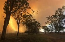 Australia: wildfires ravage Queensland