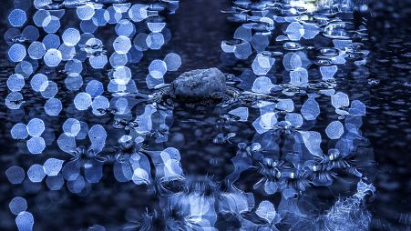 Photographer Daniel Grecu's lens for mother nature