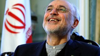 İran Atom Enerjisi Kurumu Başkanı Ali Ekber Salihi