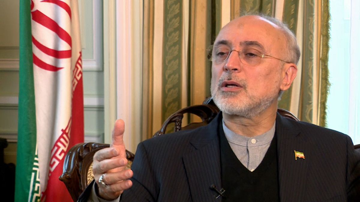Iran, Salehi: "Diritti umani correlati all'ccordo sul nucleare"