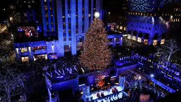 شاهد: على أبواب عيد الميلاد.. شجرة صنوبر ضخمة مزينة بالمصابيح الملونة تزين وسط نيويورك