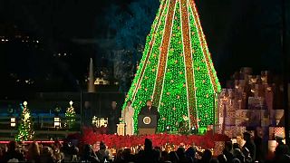 Возле Белого дома зажглась рождественская елка