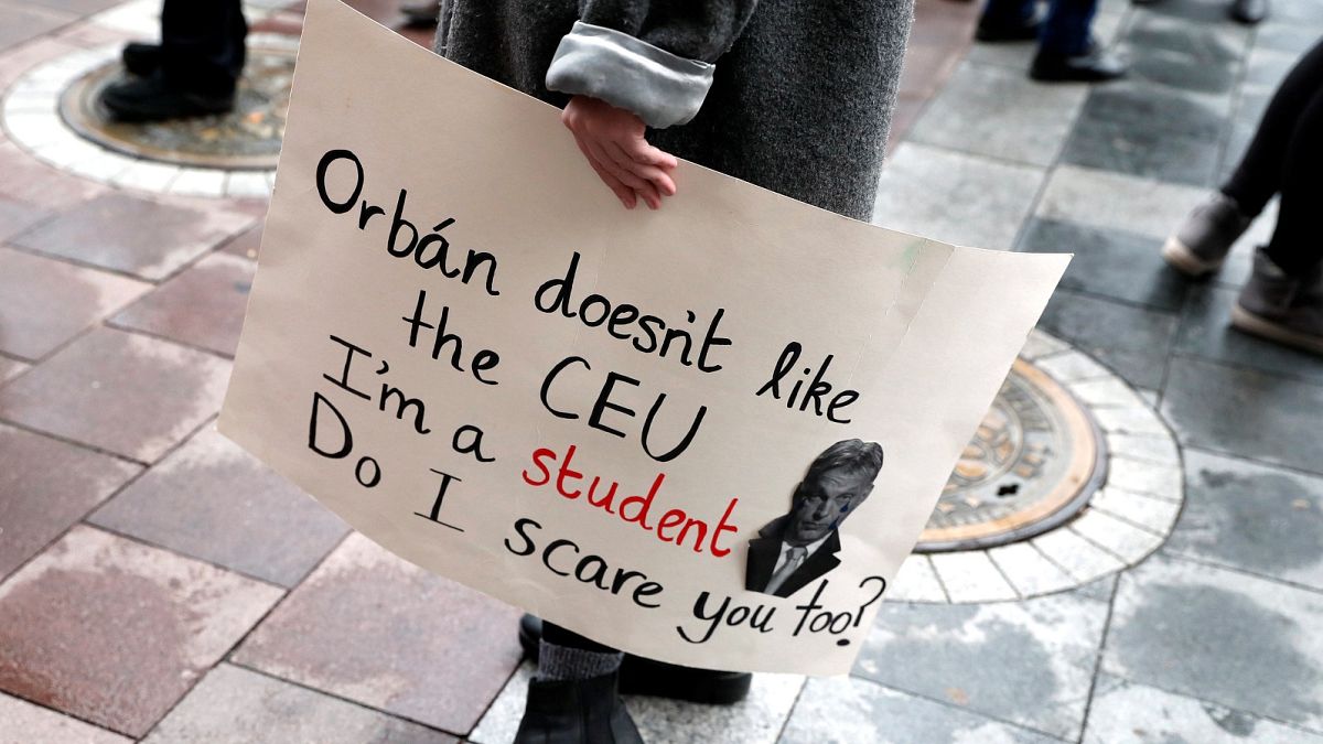 A protester attends a rally for the Central European University.