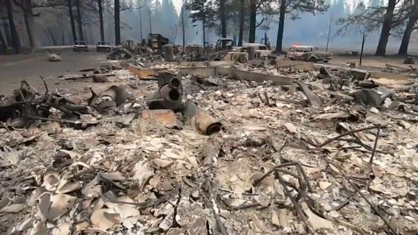 California renace de sus cenizas tras sufrir 'su' peor incendio California renace de sus cenizas tras sufrir 'su' peor incendio